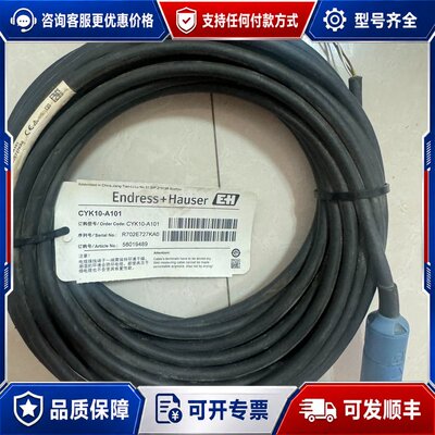 议价恩德豪斯Endress+Hauser CYK10-A可维修