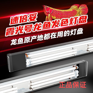 速倍妥霞光号龙鱼专用发色灯管鱼缸增艳灯观赏红龙三基色T5全光谱