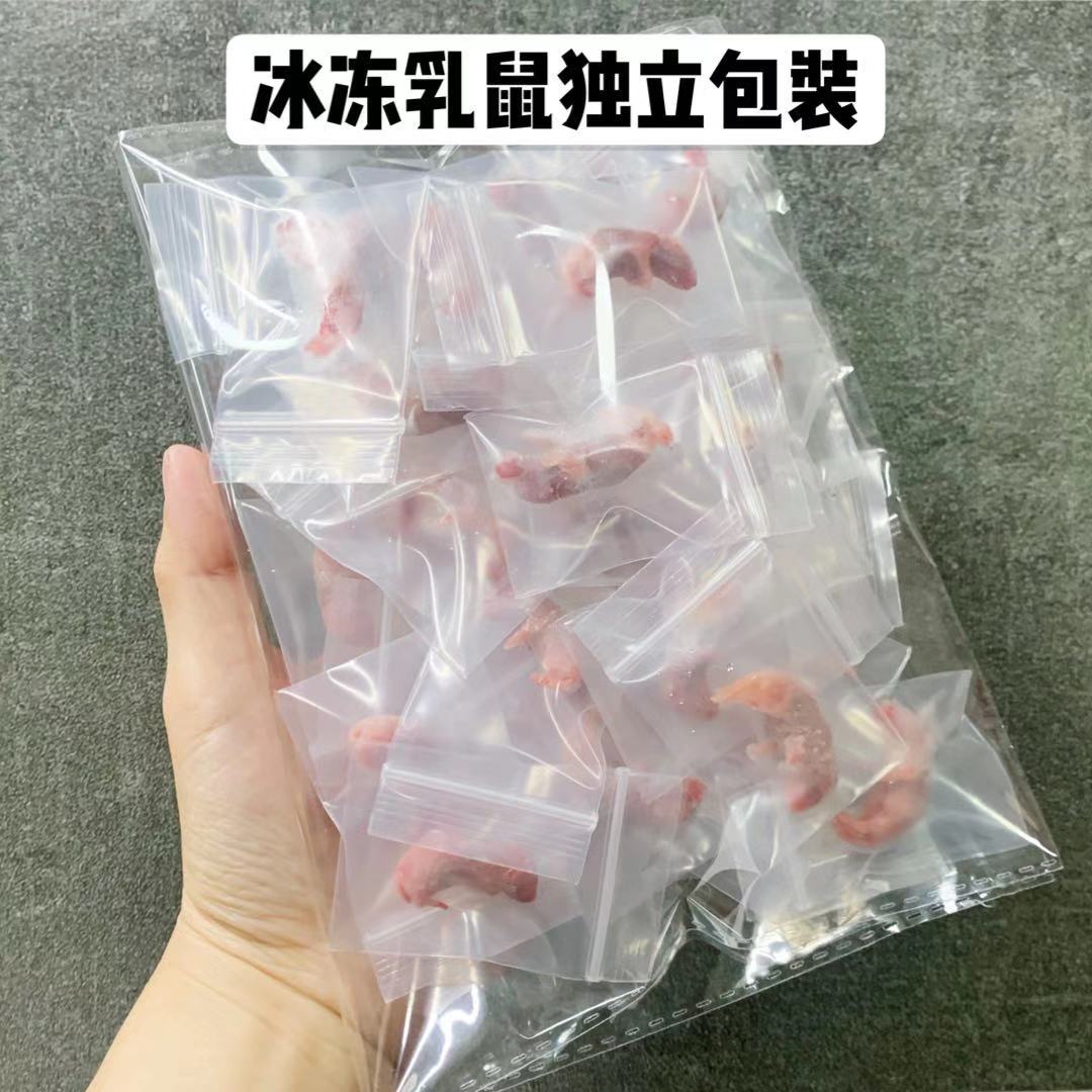顺丰空运独立包装冰冻乳鼠爬宠角蛙树蛙高蛋白宠物蛙饲料