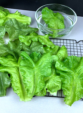 仿真小生菜叶蔬菜模型PVC菜假菜厨房摆盘农家乐拍摄道具餐厅教育