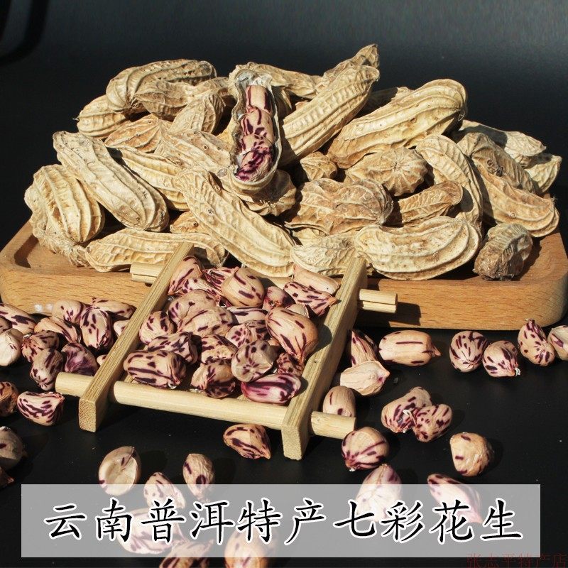2024新货云南特产七彩花生新鲜带壳花皮五彩花生种多彩彩色野地