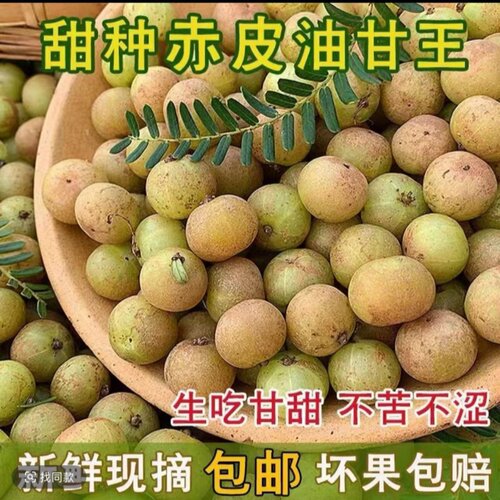 潮汕金灶赤皮油柑小个粗皮油柑