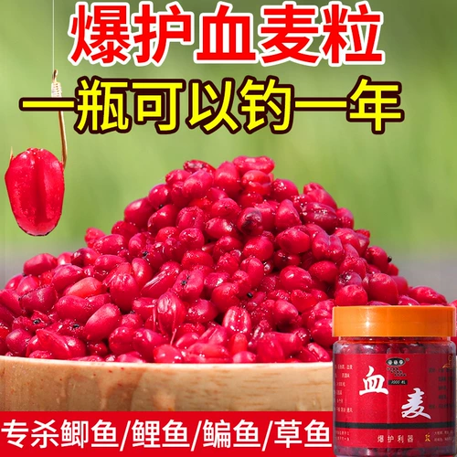 Кровавая пшеничная приманка Черная ямы дикая приманка, карп карпа сома, фруктовый кислотный коричневый сахар Маленький лекарство Универсальная рыболовная приманка