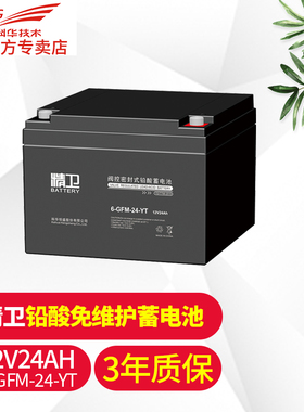 科华技术 KELONG 精卫电池 24AH 6-GFM-24-YT免维护UPS铅酸蓄电池