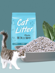 皮纳特猫砂10斤20斤低尘膨润土小颗粒猫咪大包装抗菌猫咪用品包邮