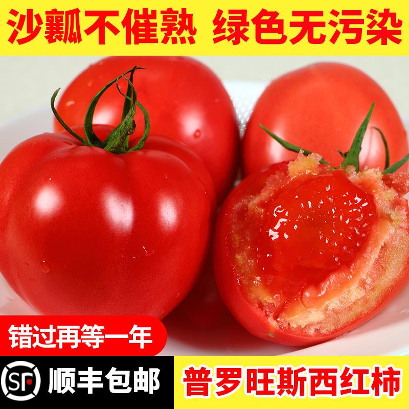海阳普罗旺斯西红柿沙瓤番茄顺丰