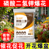 磷酸二氢钾肥料花卉专用正品 农用养植物盆栽促花磷钾肥水溶叶面肥