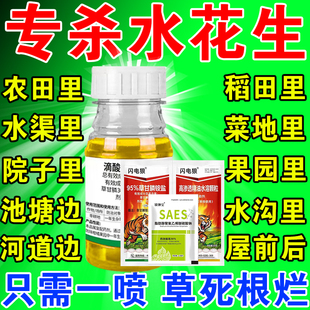 水花生克星烂根剂水花生专杀套装空心莲子草灭草剂死草烂根正品药