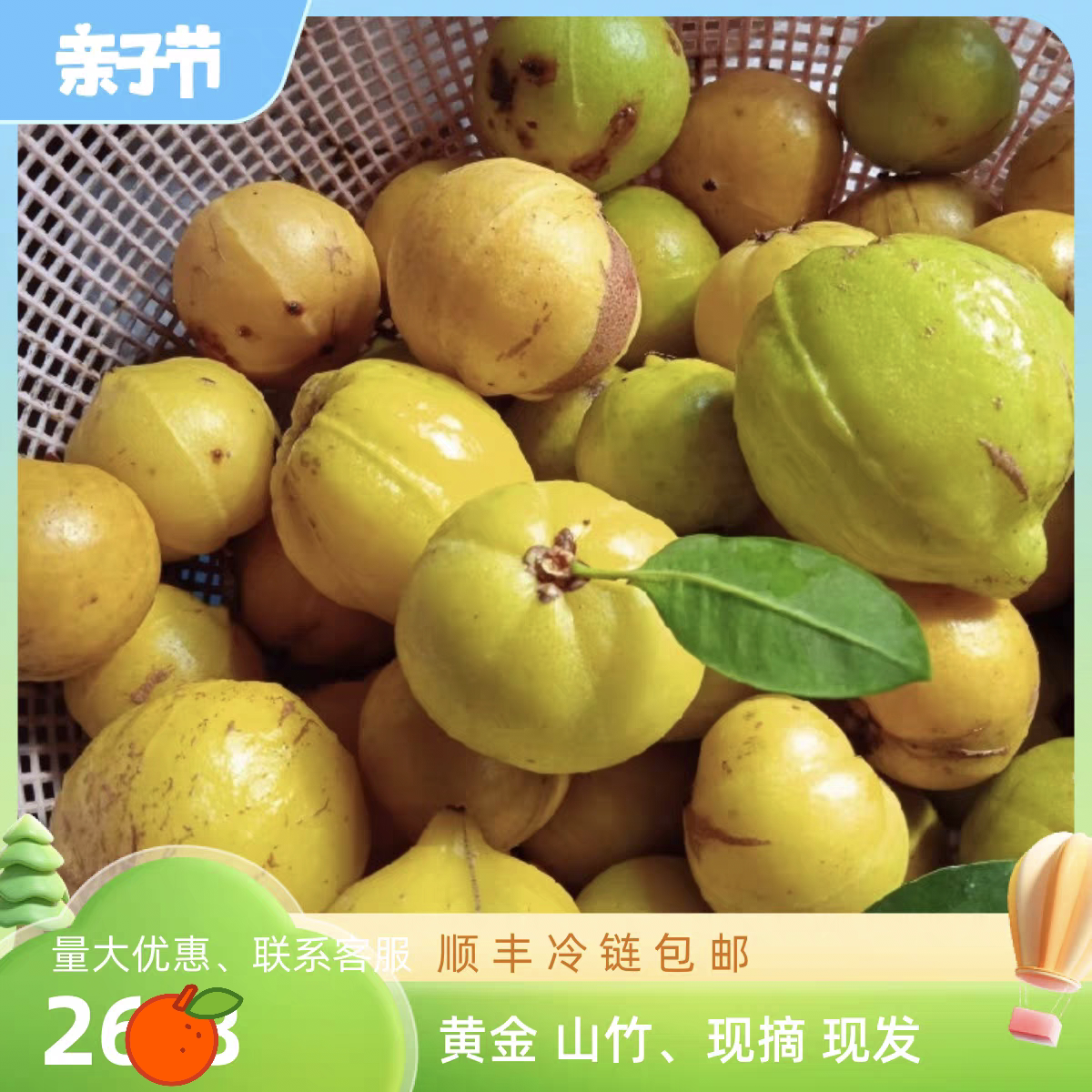 广西野生山竹 新鲜现摘现发黄金山竹 黄牙果 应季稀有水果