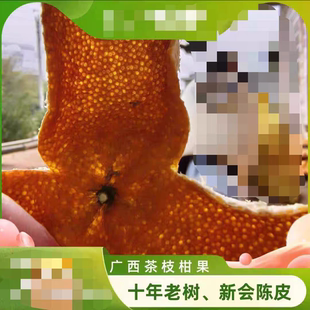 2025年 广西浦北陈皮 十年老树茶枝柑 大红 二红 大青柑 新会陈皮