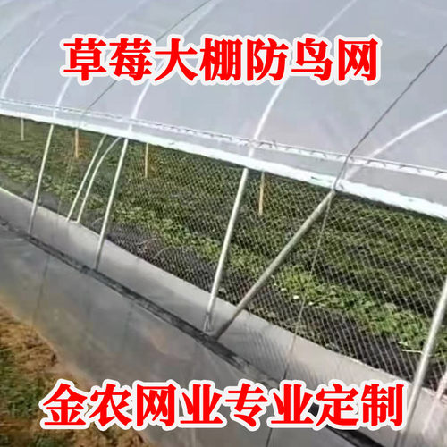 草莓防鸟网果园尼龙网大棚专用围网葡萄天沟网上下穿引线种植防护