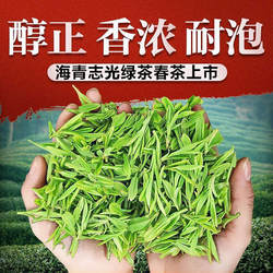 2025年新茶海青绿茶春茶500g日照充足赛崂山青岛茶叶浓香耐泡包邮