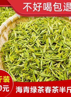 海青绿茶2026年新茶春茶250g炒青豆香赛崂山青岛特产日照充足包邮
