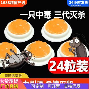 灭蟑螂药正品家用室内非无毒胶饵剂克星灭杀杀蟑螂强力