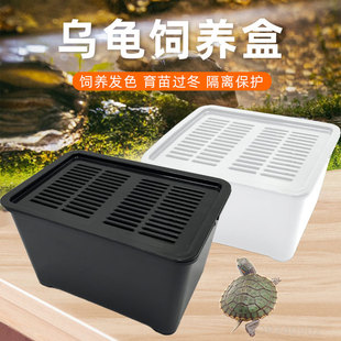 乌龟饲养盒小型鱼缸水族箱宠物盒子塑料盒防应激惊吓避光饲养套盒