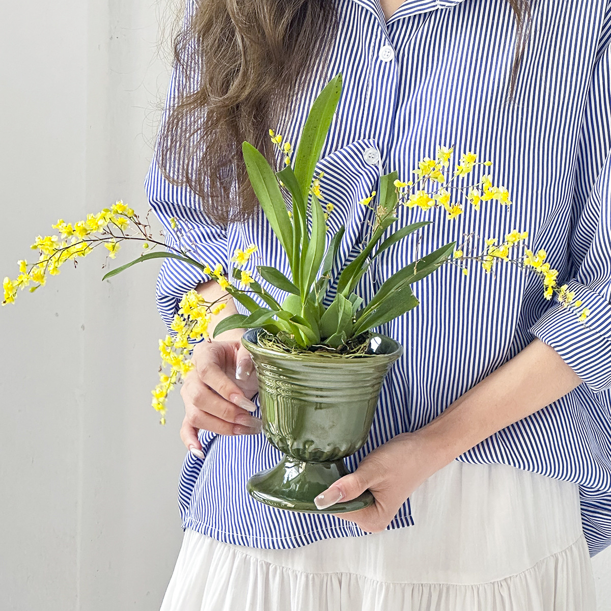 蝴蝶兰文心兰花盆栽陶瓷花盆高脚欧式复古装饰瓷器绿植多肉盆景