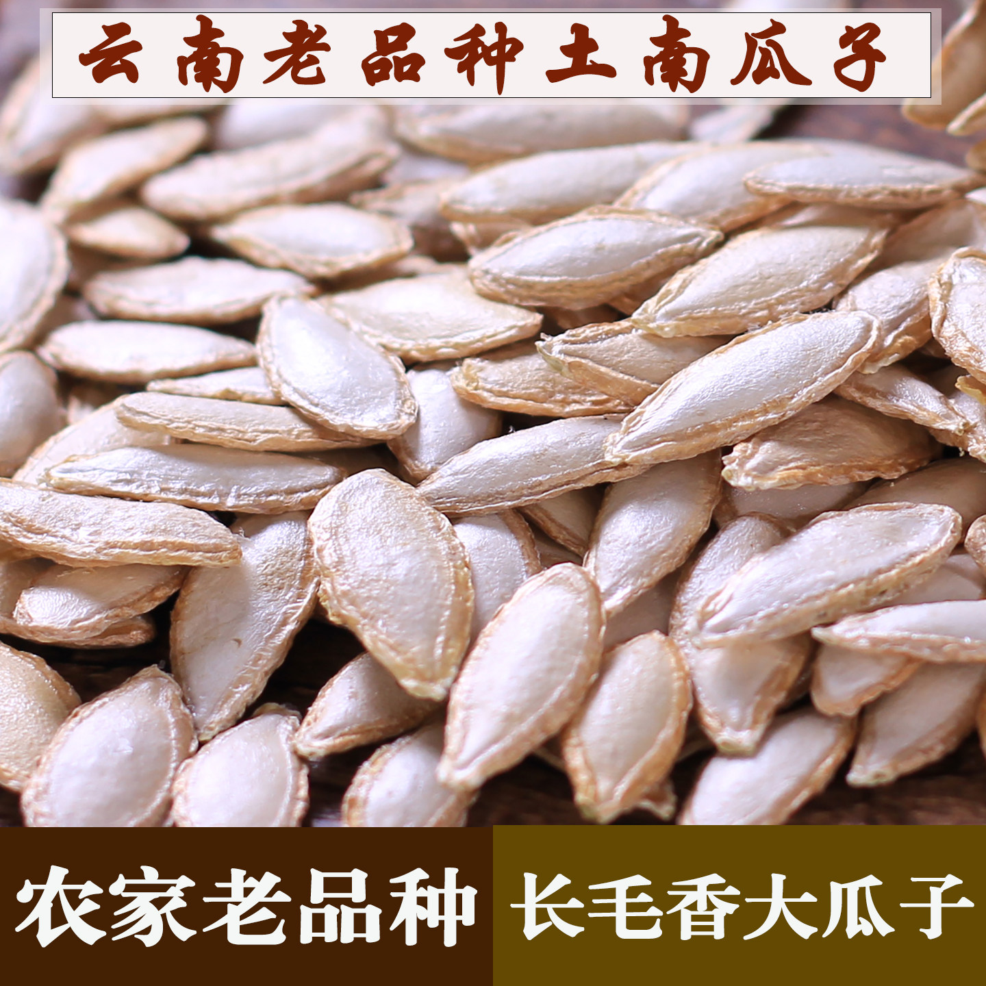 云南老品种毛边生南瓜子