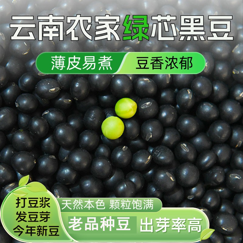 云南黑皮绿芯新货青仁乌豆