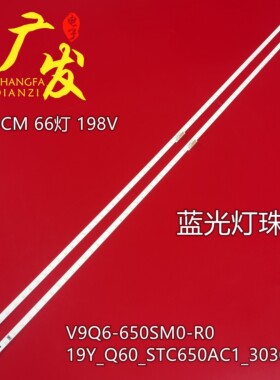 适用三星QN65Q6DRAFXZA灯条V9Q6-650SM0-R0 BN96-48108A电视机LED