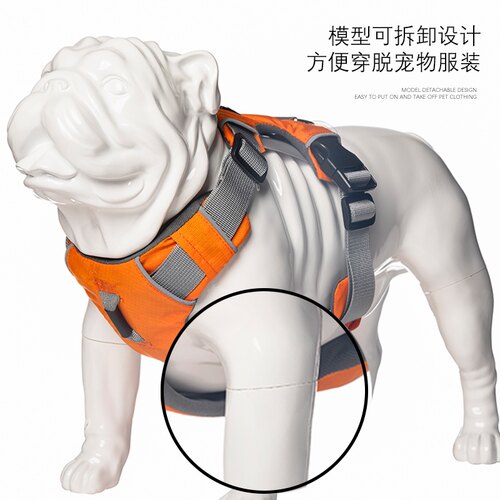 英国斗牛犬直播间模型
