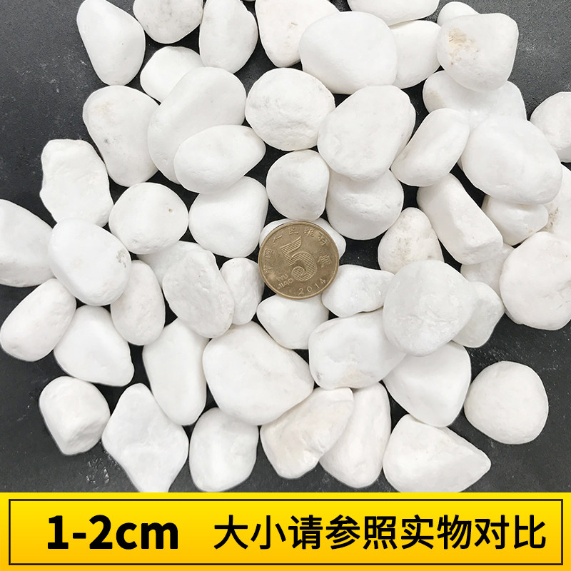 鵝卵石天然雨花石小白石子多肉鋪面盆栽花盆庭院造景裝飾白色石頭在類目 鮮花速遞/花卉仿真/綠植園藝, 園藝用品, 其它園藝用品中 - 來自Buy2taobao.com提供專業的淘寶代購服務