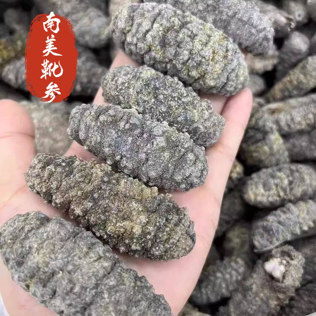 南美靴参荔枝参干货野生淡干海参南美参猪婆参赤瓜参酒店水发专用