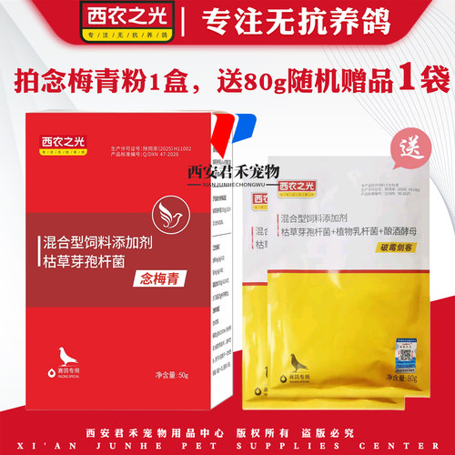西农之光念梅青信鸽鹦鹉用清念珠