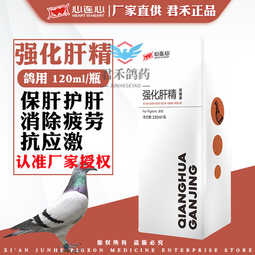 心连心鸽子药保肝护肾明目