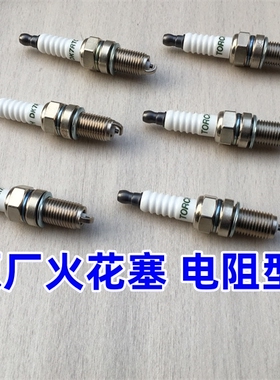 适用庞巴迪 西渡 摩托艇 船外机 哈雷 KTM 进口火炬火花塞 DCPR8E