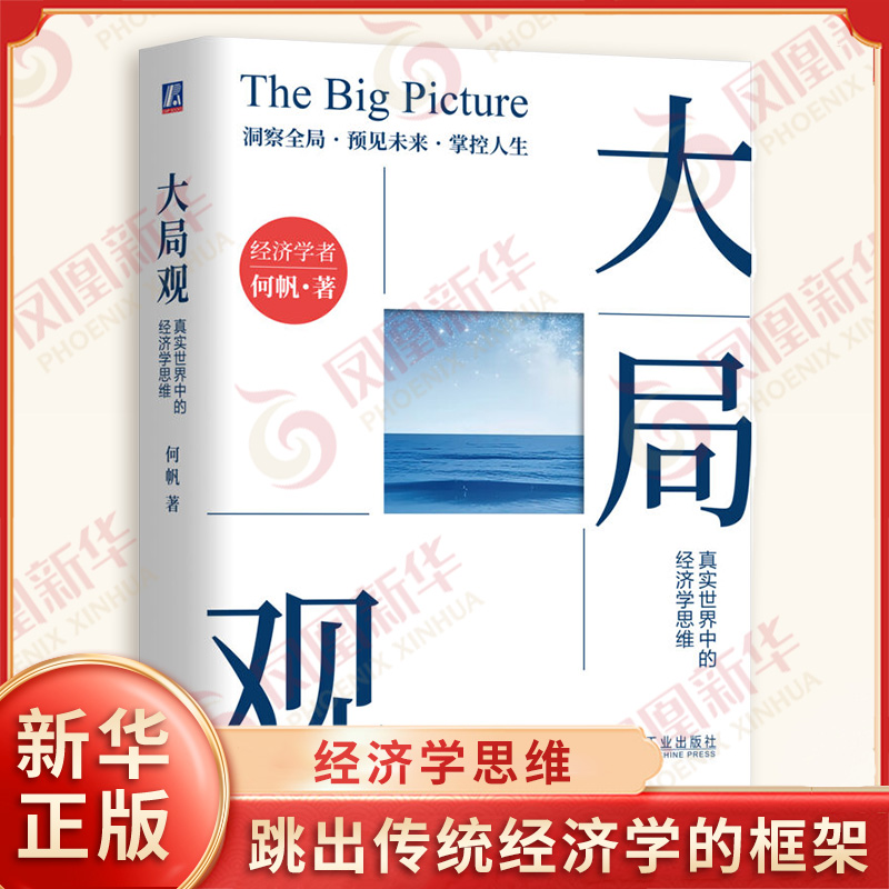 大局观 真实世界中的经济学思维 何帆 著 跳出传统经济学的框架 经济理论书籍 机械工业出版社 凤凰新华书店旗舰店正版