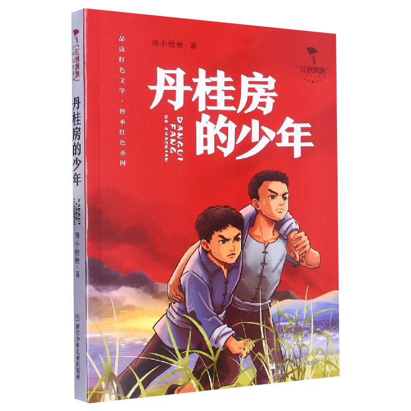 丹桂房的少年红旗飘飘少年成长