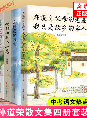 孙道荣散文集 奶奶的半个心愿 乡村夜晚的光 寻找妈妈的寻人启事 在没有父母的老屋我只是故乡的客人 中小学生阅读 新华书店正版