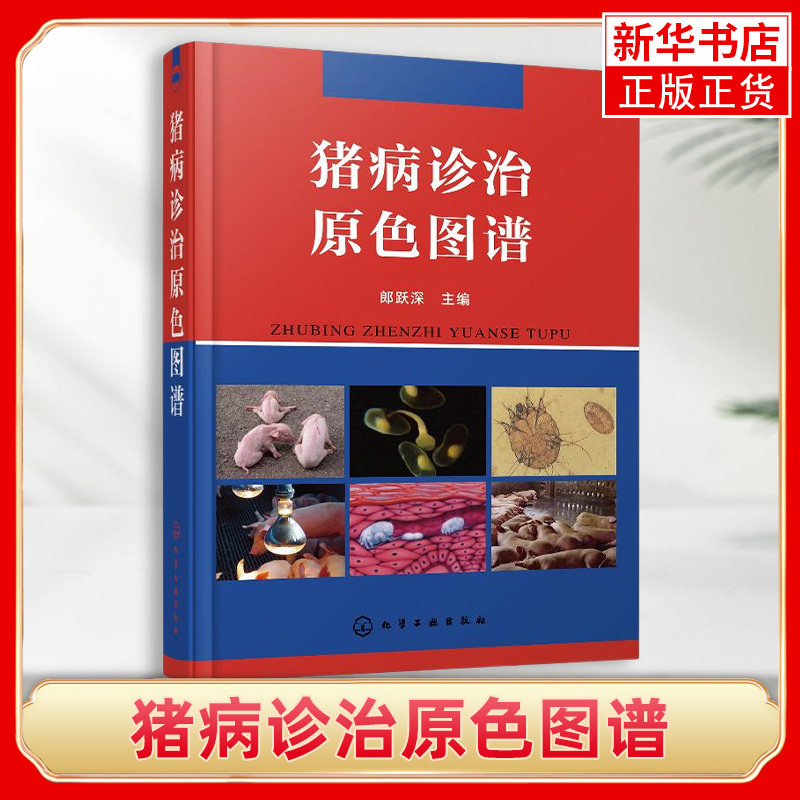 猪病诊治原色图谱精装 来自基层生产一线的猪病诊断与防治原色图鉴 简易鉴别猪病 按预防治疗方法与技术诊治猪病