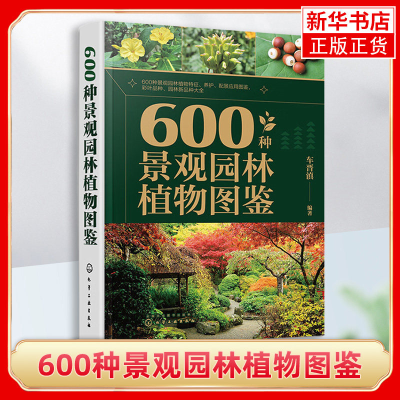 600种景观园林植物图鉴 车晋滇 草本植物藤本植物灌木乔木 景观应用搭配图与花坛花境景观案例 正版书籍 凤凰新华书店旗舰店