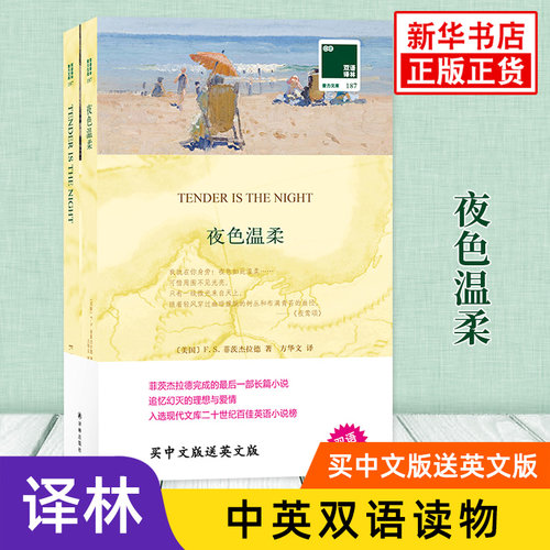 夜色温柔英文原版原著+中文译本