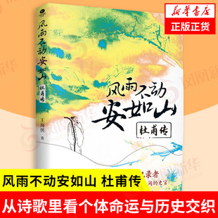 风雨不动安如山 杜甫传 王海侠 从诗歌里看个体命运与历史交织 记录动荡时代下普通民众的遭遇 中国友谊出版公司 新华书店正版书籍
