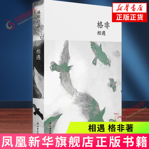 相遇 格非 译林出版社 茅奖得主格非中短篇小说集 迷舟褐色鸟群  中国当代文学奇异故事 【凤凰新华书店官方旗舰店】  当代文学
