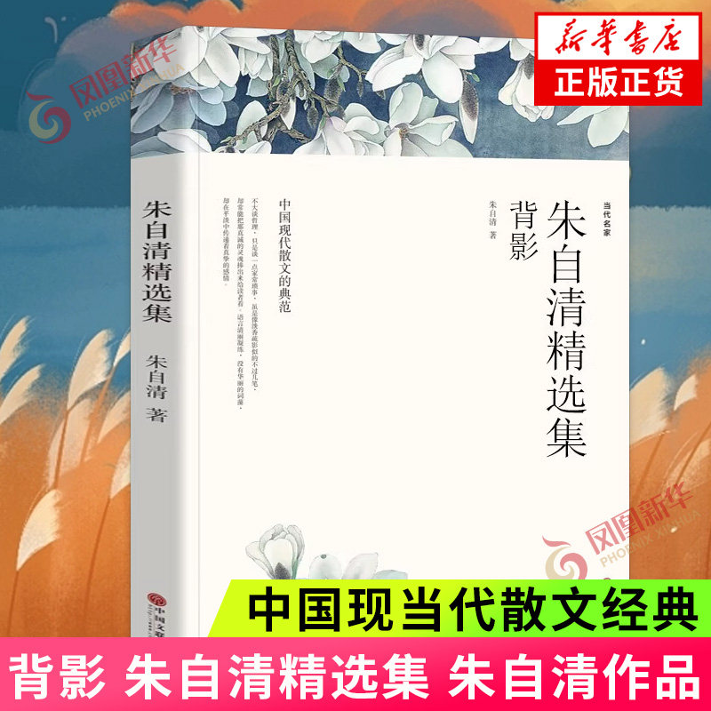 背影世界名著中国长篇文学