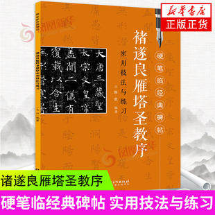 褚遂良雁塔圣教序实用技法与练习 硬笔临经典碑帖 钢笔硬笔楷书书法练字帖成人学生初学者基础入门硬笔书法临摹字帖书法钢笔字帖书