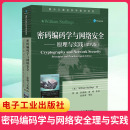 电子邮件IP网络端点云计算 第八版 学与网络安全——原理与实践 密码 高校计算机网络安全软件工程 编码 凤凰新华书店旗舰店