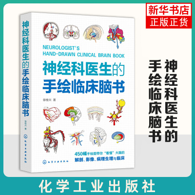 神经科医生的手绘临床脑书 徐桂兴 颅脑解剖神经系统生理与病理低年资医生神经科医师及医学生参考书籍指导书 正版书籍