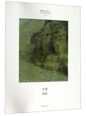 至少还有摄影摄影的艺术一本入门基础教材摄影书籍构图技巧大全人像静物风景布光用手机玩数码单反后期纽约技术黑白初学到精通教学