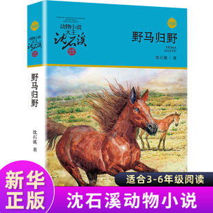 小学生课外阅读书籍6 12岁青少年版 沈石溪动物小说品藏书系升级版 野马归野 儿童文学三四五六年级儿童文学故事