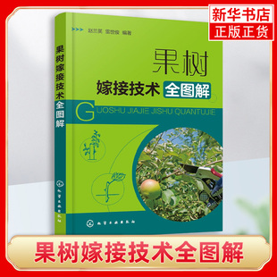 果树嫁接技术全图解 赵兰英雷世俊全图解果树嫁接技术图文结合高产良种果园 化学工业出版社【凤凰新华书店旗舰店】