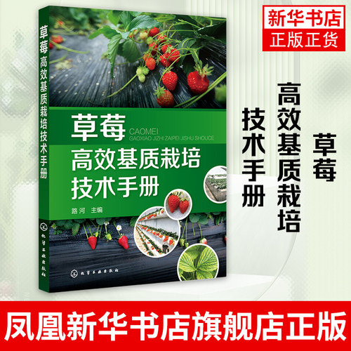 草莓高效基质栽培技术手册 路河主编 草莓发病原因 症状及防治措施 草莓常见虫害 可操作性 可供广大草莓种植者借鉴参考图书籍