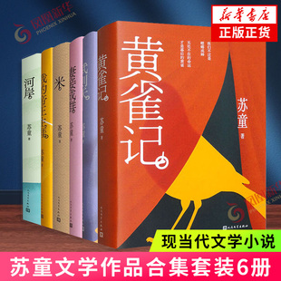 苏童作品精装版精选集 新华正版书籍