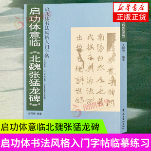 启功体意临北魏张猛龙碑/启功体书法风格入门字帖 文阿禅编著 楷书碑帖临摹参照成人毛笔书法教程启功楷书字帖 凤凰新华书店正版