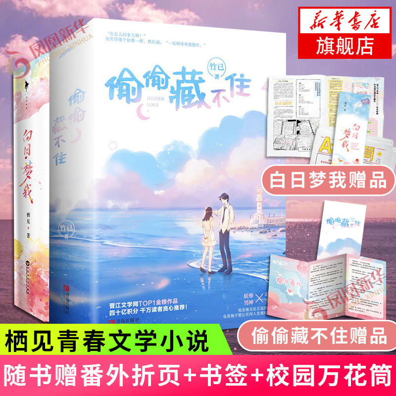 白日梦我 栖见 偷偷藏不住 竹已(共2套4册) 晋江文学城 青春文学校园