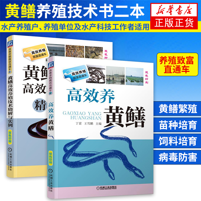 高效养黄鳝高效养殖技术精解与实例黄鳝养殖技术大全水产养殖书鳝鱼病害防治技术养黄鳝技术大全养黄鳝技术养殖书籍大全养鳝鱼的书