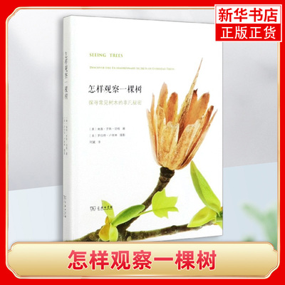 怎样观察一棵树 探寻常见树木的的非凡秘密 南茜罗斯胡格 图文并茂呈现树木微妙而常被忽略细节构造 发现身边自然奇迹商务印书馆